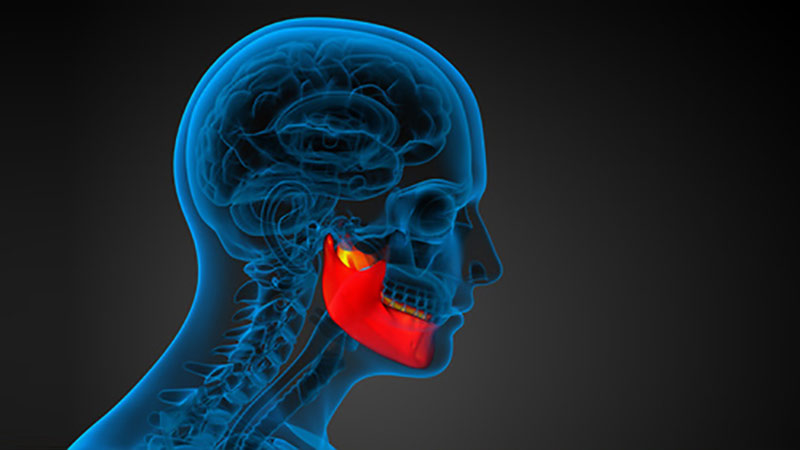 studio del funzionamento della articolazione tra cranio e mandibola